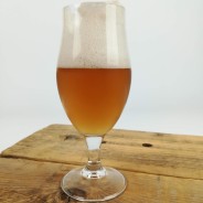Blonde Craft Beer made with Rice “Nova”