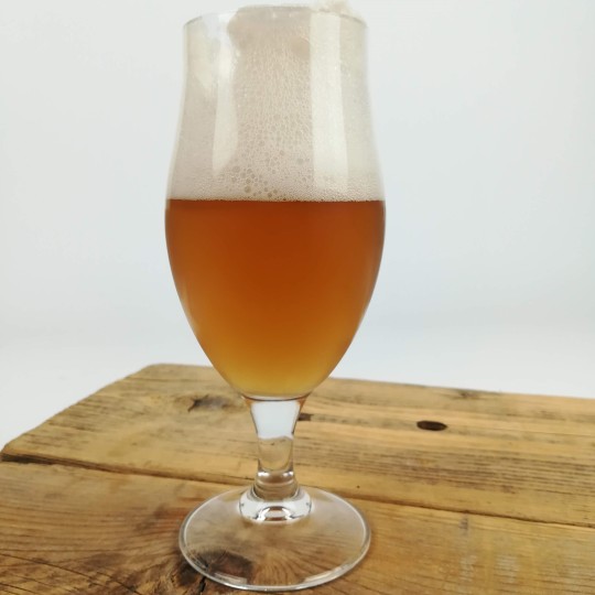 Blonde Craft Beer made with Rice “Nova”